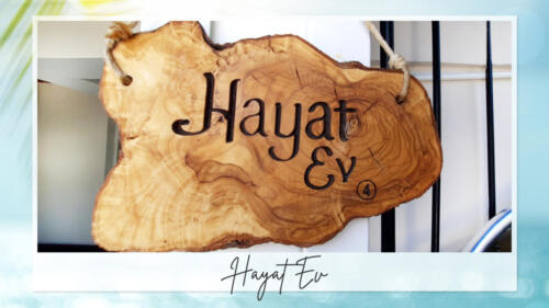 hayat-1