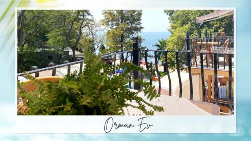 orman-1