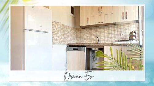 orman-8